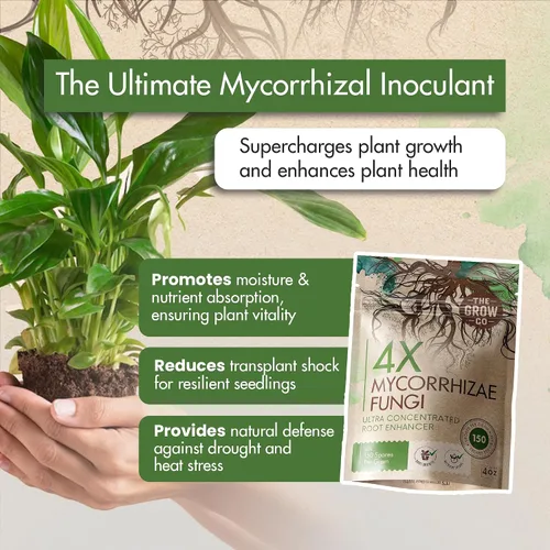Vista 4 de Micorrizas 4X de 4 onzas para plantas – Inoculante de micorrizas – Potenciador de raíces y Myco concentrado, micorrizal superior para plantas, polvo