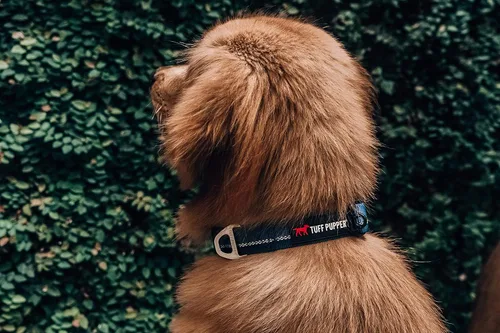 Vista 8 de Tuff Pupper Collar de perro resistente Collar resistente para perros Collares reflectantes con clip de correa de aluminio en D Accesorio