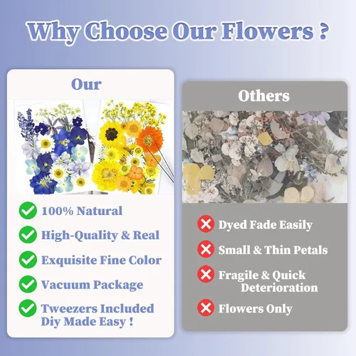 Vista 8 de 150 piezas de flores prensadas para manualidades, flores secas coloridas para manualidades, flores secas prensadas naturales reales, hojas secas a