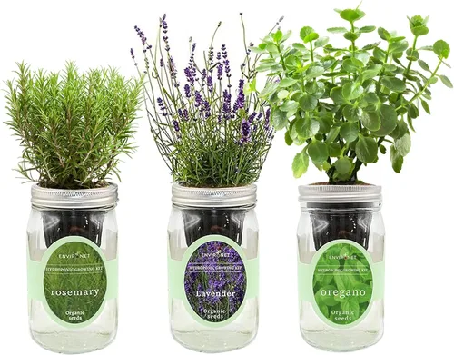 Vista 10 de Kit de cultivo de hierbas hidropónicas, tarro de masón de riego automático para jardín, kit de inicio de jardín de hierbas para interiores, jardín