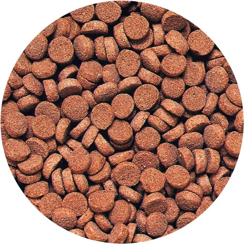 Vista 3 de Hikari Pellets Carnívoros Hundibles para Mascotas, 2.61 Onzas