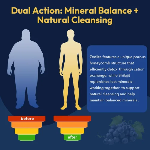 Vista 6 de Gotas de Desintoxicación de Zeolita Rhytherolixian – Mineral Shilajit con Ácido Fúlvico y Húmico Limpieza de Hígado e Intestino Suplemento