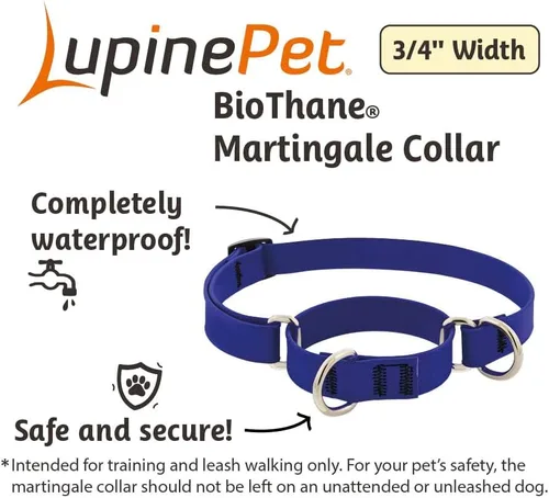 Vista 2 de LupinePet Collar de perro impermeable Splash Martingale, rosa neón, 3/4 pulgadas de ancho, se ajusta de 14 a 20 pulgadas, fabricado con BioThane