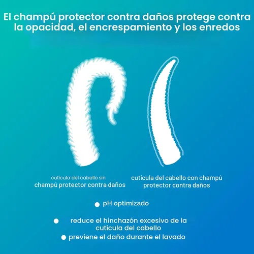 Vista 7 de K18 Damage Shield - Juego de cuidado de lavado Champú protector de tamaño completo seguro para el color + acondicionador que reduce