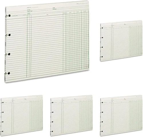 Vista 10 de Wilson Jones Hojas de contabilidad, seis columnas, 9-1/4 x 11-7/8, verde, paquete de 100 hojas sueltas (WLJG106)