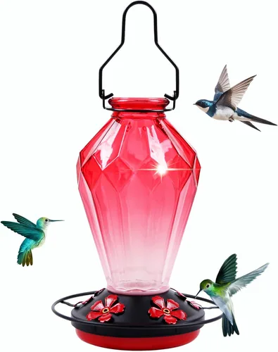 Vista 9 de Paquete de 2 comederos de vidrio para colibríes para colgar al aire libre, alimentador de néctar de colibríes de 25 onzas, perca, 5 puertos