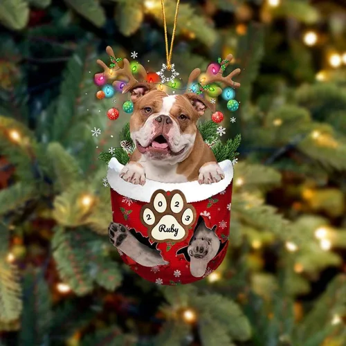 Vista 210 de Adornos personalizados de Pug cervatillo – Decoración personalizada para árbol de Navidad con patas de bolsillo de nieve