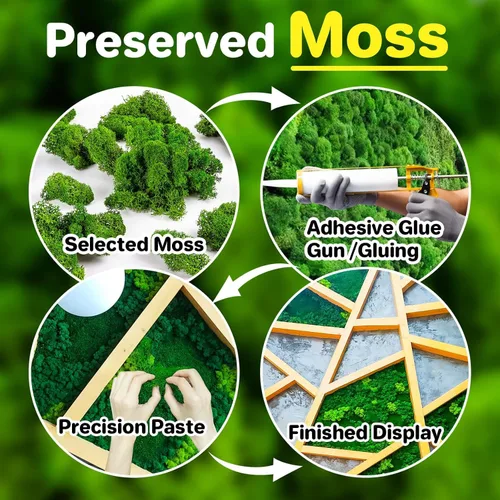 Vista 5 de Sukh Musgo preservado – Musgo de 3.5 onzas para manualidades, musgo sintético de musgo verde natural, arte para pared, terrarios de musgo floral