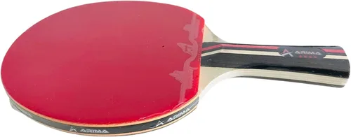 Vista 3 de Raqueta de tenis de mesa de 4 estrellas, paleta de ping pong con goma en ambos lados para principiantes y uso recreativo, bate ligero para niños