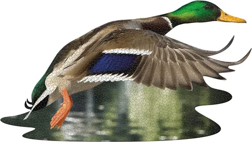 Vista 5 de Madd Capp Puzzles - I AM Duck - Rompecabezas de 1000 piezas con forma de animal, multicolor