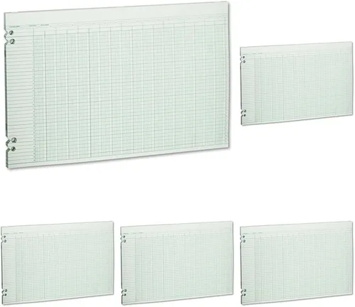 Vista 8 de Wilson Jones Hojas de contabilidad, seis columnas, 9-1/4 x 11-7/8, verde, paquete de 100 hojas sueltas (WLJG106)