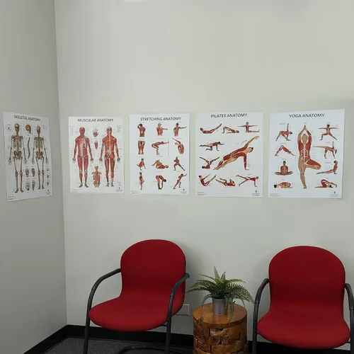 Vista 7 de Anatomy Lab Póster muscular, esquelético, yoga, estiramiento y pilates, anatomía y fisiología – Paquete de 5 LAMINADO 17.3 x 22.5 pulgadas, tabla