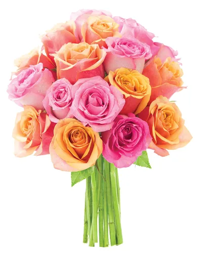 Vista 34 de KaBloom - Rosas arcoíris (media docena)- Flores frescas para cumpleaños, San Valentín y Día de la Madre