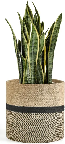 Vista 9 de Dahey - Cesta tejida pequeña de cuerda de algodón para plantas, cesta enrollada para macetas de hasta 7 pulgadas, cesta decorativa para cubrir
