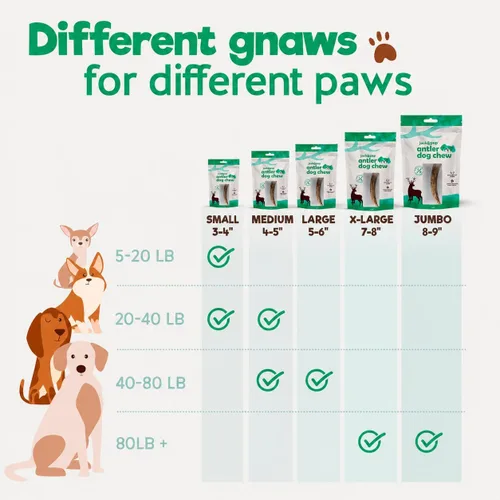 Vista 6 de Jack & Pup - Cuernos de alce para perros, cuernos naturales XL de 7 a 8 pulgadas para masticadores agresivos, masticables de larga duración, apoya