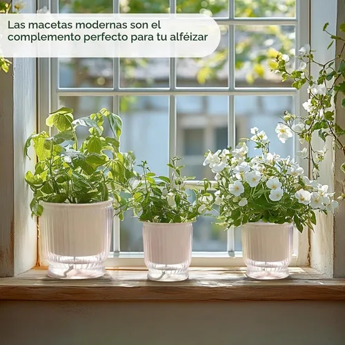 Vista 7 de T4U Macetas de riego automático para plantas de interior de 4 pulgadas Transparente