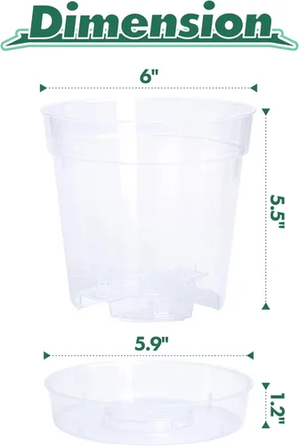 Vista 4 de Maceta de plástico transparente de 6 pulgadas con orificios de drenaje, bandeja entrelazada y desmontable, platillo profundo, plástico duradero sin