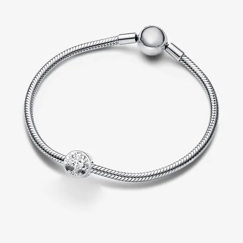 Vista 2 de QeenseKc Dije de círculo de la vida familiar para siempre árbol de la vida para pulsera Pandora