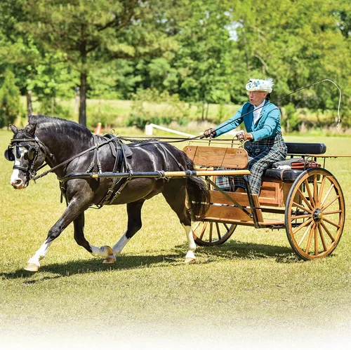 Vista 2 de Breyer Nistar Blazing Kansas LOM y GTF Blazing Ethel 1857, negro