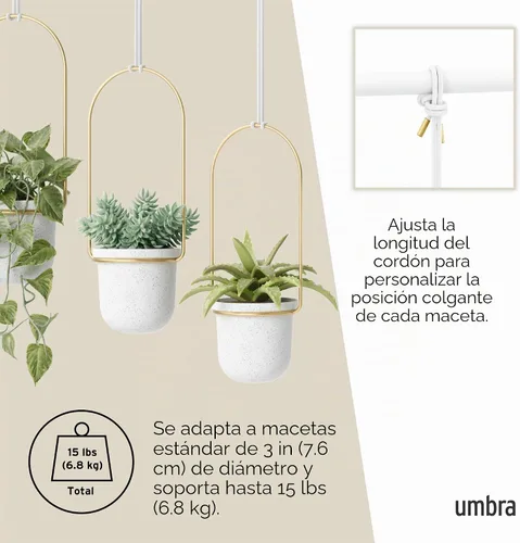 Vista 5 de Umbra Triflora - Maceta colgante para ventana, jardín de hierbas de interior, juego de 3, color blanco/latón