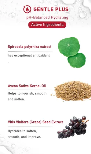 Vista 5 de menorah Crema hidratante lechosa con leña y avena – Loción facial ultraligera, calmante e hidratante para pieles sensibles y secas, hidratación