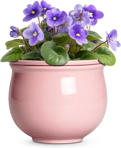 Vista 21 de Macetas de riego automático de 6 pulgadas para plantas de interior, macetas de cerámica violeta africana con maceta interior absorbente, maceta