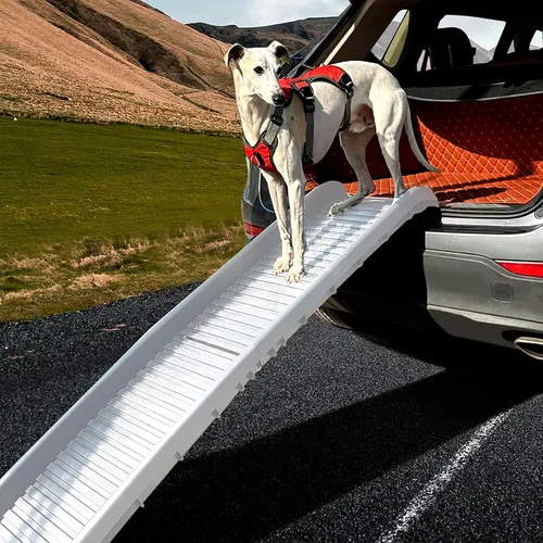 Vista 4 de Rampa plegable para mascotas, 61 pulgadas, rampa ligera portátil para perros o gatos, gran tracción, adecuada para todos los automóviles, carga