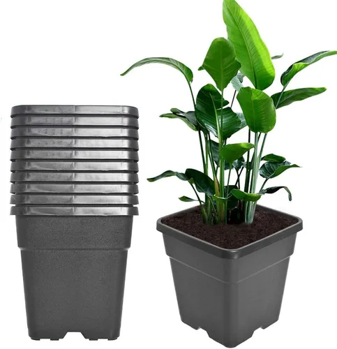 Vista 10 de Macetas cuadradas para vivero, macetas de cultivo para plantas de suelo, 0.63 galones, 10