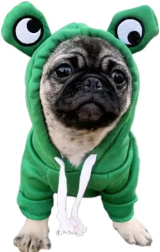 Vista 9 de ANIAC Sudadera con capucha para perro, con orejas de conejo, ropa de primavera para cachorros para perros pequeños, hembras, niños, suéter suave