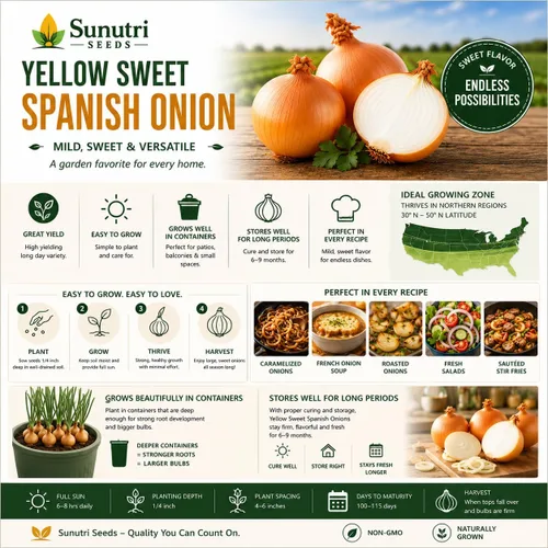 Vista 9 de Semillas de cebolla española dulce amarilla para plantar – Variedad de cebolla bulbante de día largo – Cebollas dulces suaves grandes para jardines