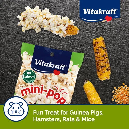 Vista 4 de Vitakraft Mini Pops Treat para animales pequeños, mazorca de maíz 100% real, apoya dientes sanos, 6 onzas