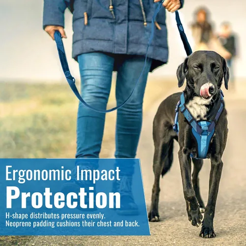 Vista 9 de Arnés para perro sin tirones con asa, arnés de entrenamiento de control de agarre para perros medianos, anillo en D frontal, reflectante, seguro