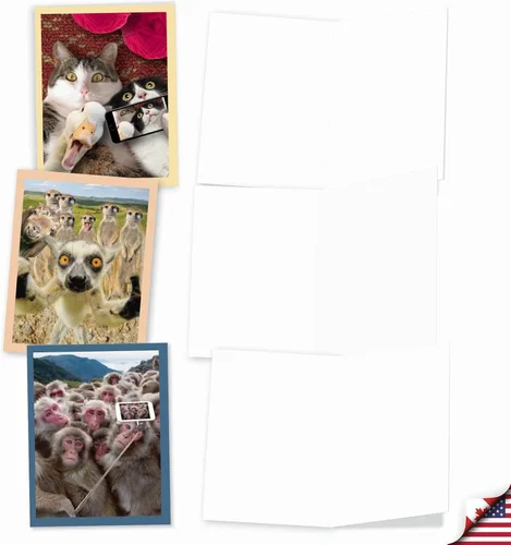 Vista 4 de The Best Card Company - Tarjetas de animales en blanco en caja, 4 x 5.12 pulgadas, mascotas surtidas, zoológico, tarjetas de vida silvestre