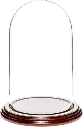Vista 7 de Plymor Cúpula de cristal de 4.5" x 8" (base de chapa de roble)