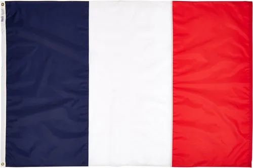 Vista 4 de Annin Flagmakers Bandera de Francia fabricada en Estados Unidos según las especificaciones oficiales de diseño de las Naciones Unidas, 2 x 3 pies