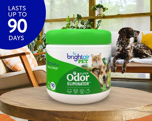 Vista 3 de Bright Air 14 oz. Super eliminador de olores, para espacios medianos, aroma de cítricos frescos, caja de 6, ambientador, aceites esenciales