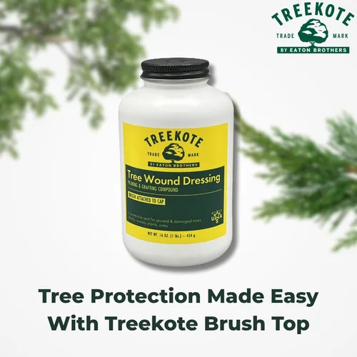 Vista 4 de Treekote Vendaje para Heridas de Árboles con Aplicador de Brocha 16 OZ Aplicador de Brocha para Árboles y Arbustos - Pasta Curativa y Sellador