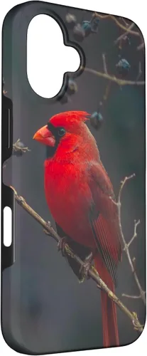 Vista 3 de Funda para iPhone 16 Cardinal Bird