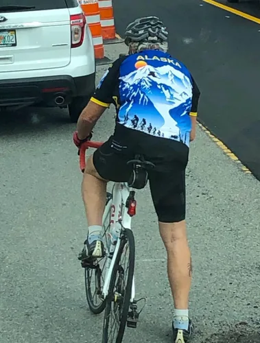 Vista 3 de Maillot de ciclismo Alaska Majestic