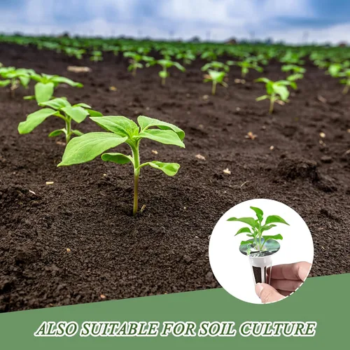 Vista 5 de Kit de 50 piezas de cápsulas hidropónicas Tigvio: Cultive cualquier cosa con 50 esponjas de cultivo - Compatible con todas las marcas de hidroponía