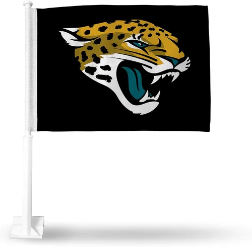 Vista 21 de Rico Industries NFL Double Sided Car Flag - 16" x 19" - Strong Pole That Hooks onto Car/Truck/Automobile