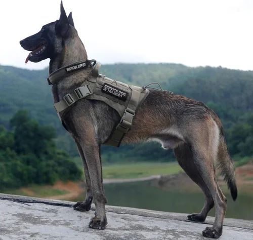Vista 7 de Chaleco para perro de servicio táctico, excelente Elite Spanker. Chaleco para entrenar, cazar, con sistema Molle, de nylon, resistente al agua.