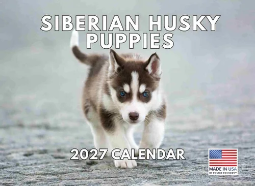 Vista 137 de Calendario mensual de pared Airedale Terrier Dog 2027 rojo (Airedale Terrier)