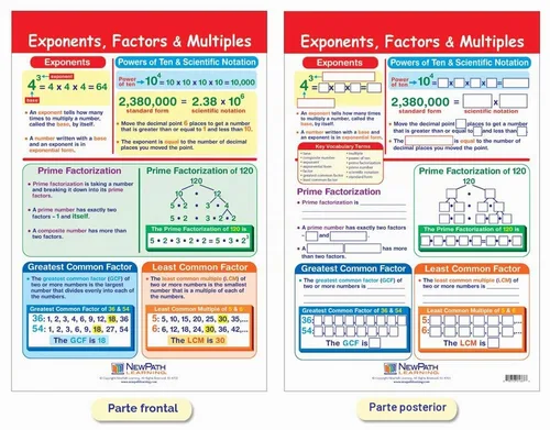 Vista 2 de NewPath Learning Conjunto de tarjetas con tablas para aprender enteros, números racionales y reales, para pizarra, 6 unidades - Laminada, de doble