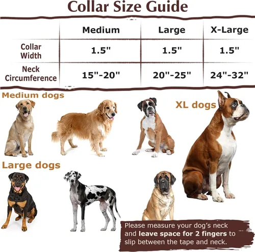 Vista 3 de Collar Martingale para Perro de 1.5 Pulgadas de Ancho - Diseño de Calavera Extra Resistente para Perros Grandes, Collar de Entrenamiento Ajustable