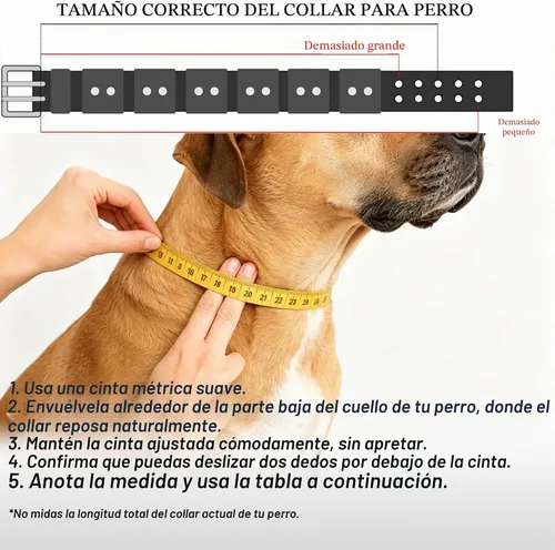 Vista 5 de Collar de entrenamiento para perros con peso, pesas incluidas