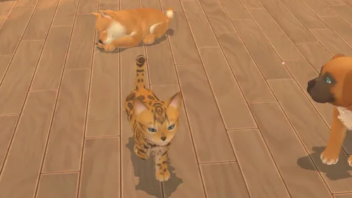 Vista 5 de My Universe Puppies and Kittens - Nintendo Switch