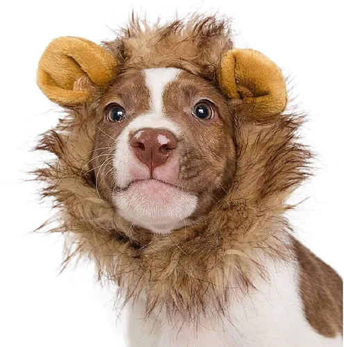 Vista 7 de Pet Krewe - Disfraz de melena de león para perro, para cuello de 8 a 14 pulgadas, melena de león para perros pequeños, ideal para Halloween