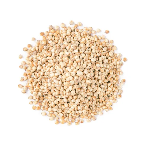 Vista 3 de Food to Live Sorgo blanco italiano de grano entero, 1 libra – Granos blancos de primera calidad. Semillas milo crudas. Vegano, Escoba de maíz a