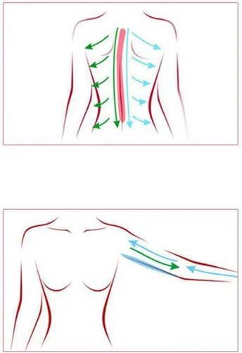 Vista 5 de Rodillo corporal de mano para tratamiento de celulitis, herramienta de masaje de terapia magnética para relajación muscular y alivio del dolor